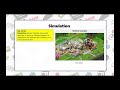 Game Development and Design Concepts