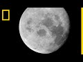 Moon Landing and Astronaut Experiences