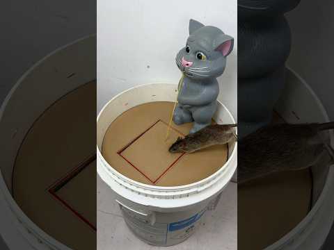 Rat trap creative/Catching back in the barrel, the idea of trapping#rat