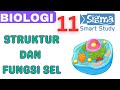 Cell Transport and Organelles Concepts