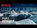 Exploring the Impact of Climate Change on Polar Ecosystems