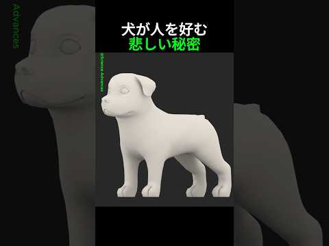 犬が人を好む悲しい理由