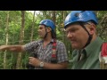 Exploring Australia's Rainforest