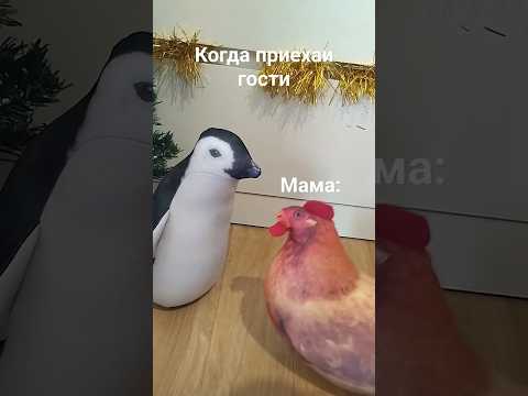 когда приехали гости #блоптоп #шортс #миша #tiktok #шлепа #прикол #лиса #хренобус @bloptop