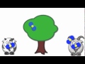 Photosynthesis and Respiration Insights