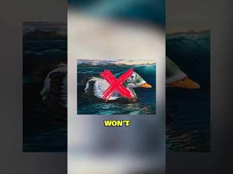 Why I WON’T win the competition ❌🦆#duckstamp #artcontest