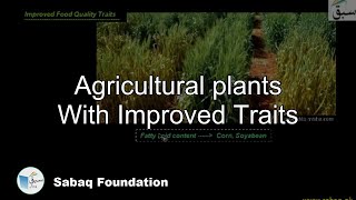 Agricultural plants With Improved Traits