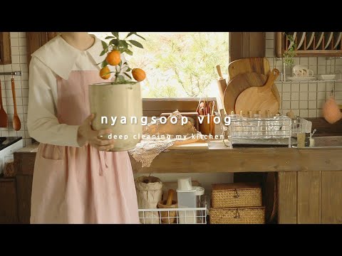 냥숲 vlog | 종일 집에서 부엌 청소, 맛있는 그릭요거트 만드는 집순이 일상