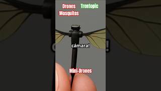Drones Mosquitos