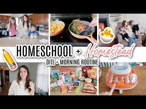 DITL of a Homeschooling + Homesteading  Mom of 3 // Homeschool Morning Routine