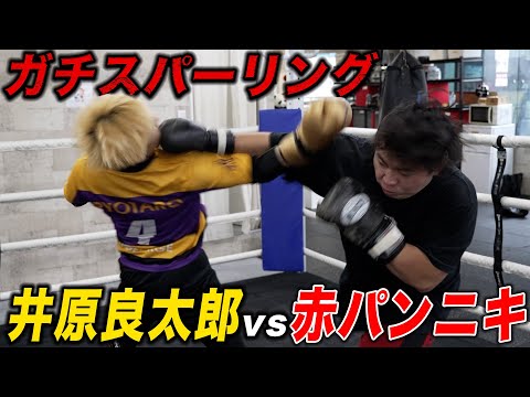 【赤パン討伐企画】赤パンニキとガチスパーリング！！