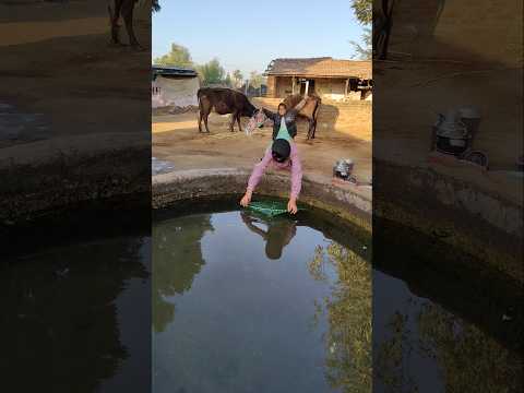 Winter basant super lovely legend paper' or plastic kite testing water #shorts