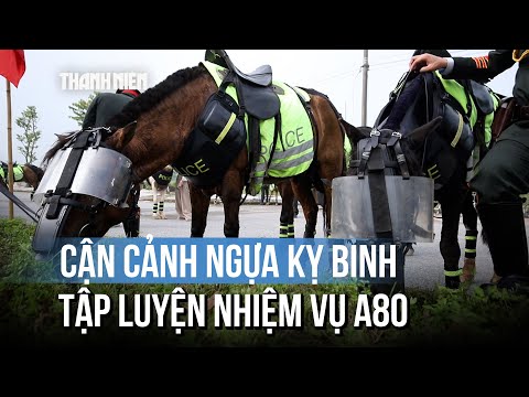 Ngắm kỵ binh cảnh sát cơ động luyện tập trước thềm lễ diễu binh A80