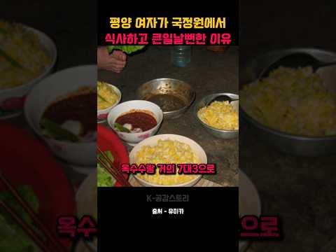 탈북한 평양 여자가 국정원에서 식사하고 큰일 날뻔한 이유