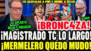 ¡BRONC4ZA! MAGISTRADO TC LARGA EN VIVO A MERMELERO DE CANAL N POR LLORAR POR DELIA Y FISCALÍA