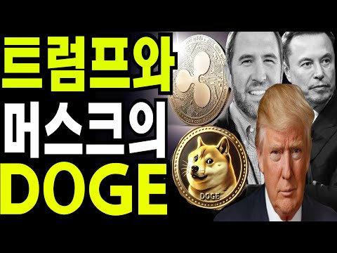 비트코인 도지코인 리플코인  🔥트럼프와 머스크의 DOGE 🔥