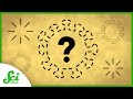 Understanding Viruses: Their Role and Impact