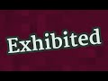 Understanding Exhibited Behavior