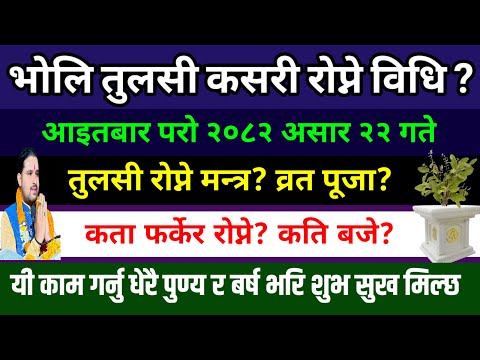असार २२ गते आइतबार तुलसी कसरी रोप्ने? मन्त्र पूजा विधि🙏| Harisayani ekadashi 2082