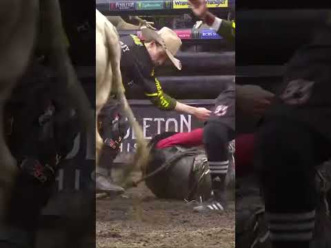 Our bullfighters putting in work 💪