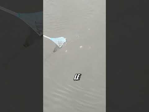 Increíble HOMBRE atrapa CIENTOS de peces en un día épico 🎣🐠