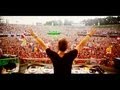 Tomorrowland Celebration Insights
