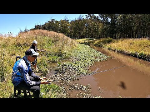 PESCAMOS EN EL ARROYO DEL BARRIO Y NOS DIVERTIMOS COMO NIÑOS