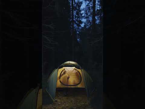 Camping on hills in jungle #camping #campinglife #camp #jungle #hills #travell #shorts #ytshorts