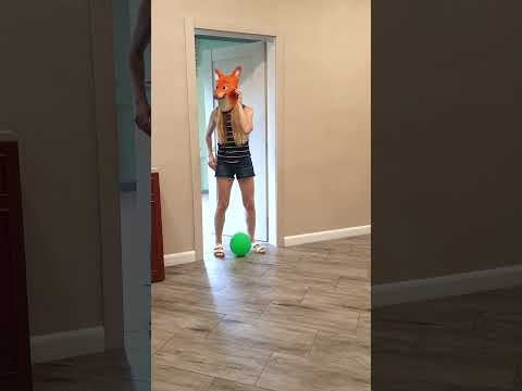 A doggie takes a green balloon from a fox