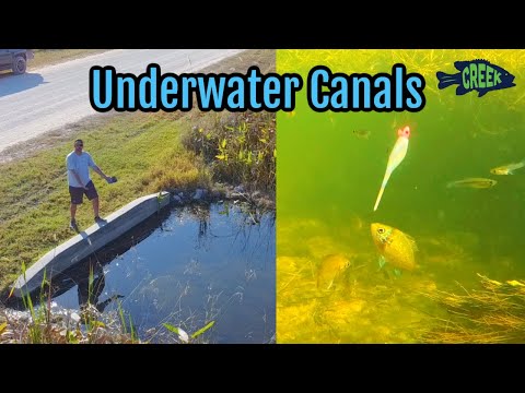 GoPro Underwater Florida Canals