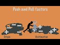 Migration: Push and Pull Factors
