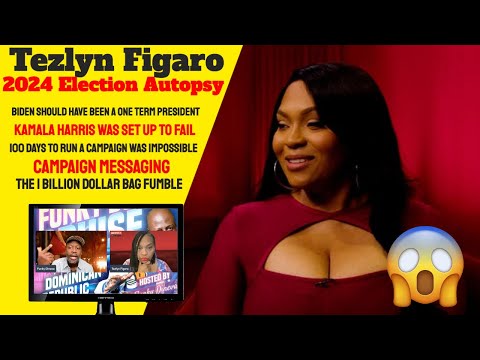 Tezlyn Figaro 2024 Election Analysis