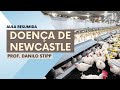 Doença de Newcastle: Prevenção e Diagnóstico