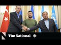 Understanding the Ukraine Conflict and Diplomatic Efforts
