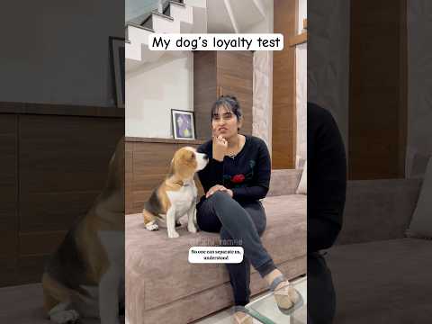 My dog’s loyalty test