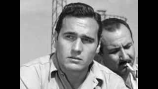 Slicked Back Hair - Mario Vitale