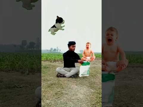 Flying Crying babies catching vs puppy & cat - Funny vfx magic video