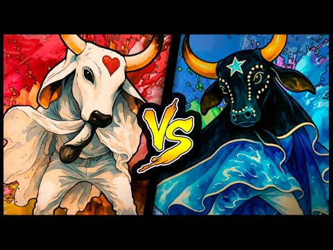 PINDORAMA DUELO: BOI GARANTIDO x BOI CAPRICHOSO