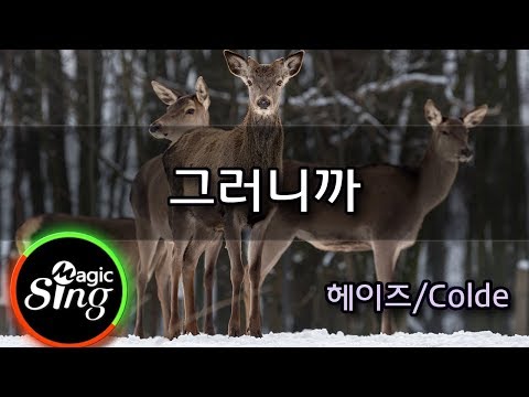 [매직씽아싸노래방] 헤이즈/Colde  – 그러니까  노래방(karaoke) | MAGICSING