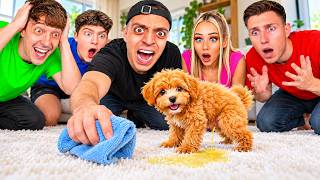 unser BABY HUND HUGO hat vor ALLEN YOUTUBERN auf den BODEN gemacht... 😭