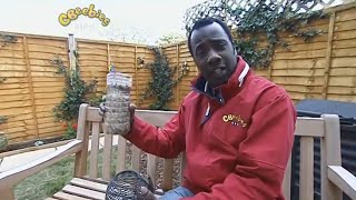 CBeebies Continuity - Thursday 29th May 2008