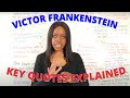 Frankenstein Themes and Characters