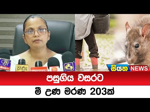 පසුගිය වසරට මී උණ මරණ 203ක්  | Siyatha News