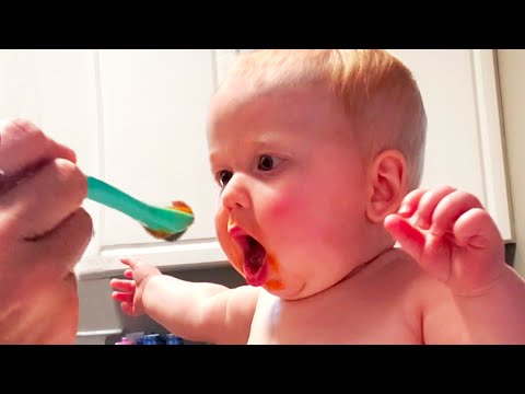 Funniest Baby Love Food 🍗 Baby Eating Compilation || Cool Peachy