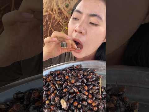 cockroach farming #shorts #farming