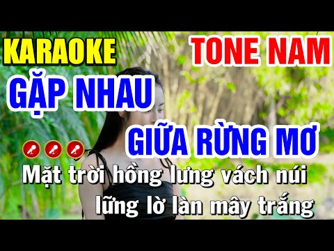 GẶP NHAU GIỮA RỪNG MƠ Karaoke Nhạc Sống Tone Nam ( BEAT CHUẨN ) | Bến Tình Karaoke