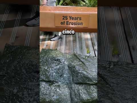O EFEITO DA ROCHA DE 50 ANOS