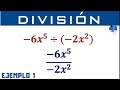 Dividing Numbers and Monomials