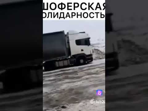 Вот бы все так было бы добрый... уважение таким водителем 👍👍👍