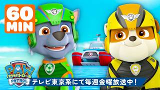 パウ・パトロール | ラブル＆ロッキーのチームアップ！60分の大ぼうけん | テレビ東京系にて放送中